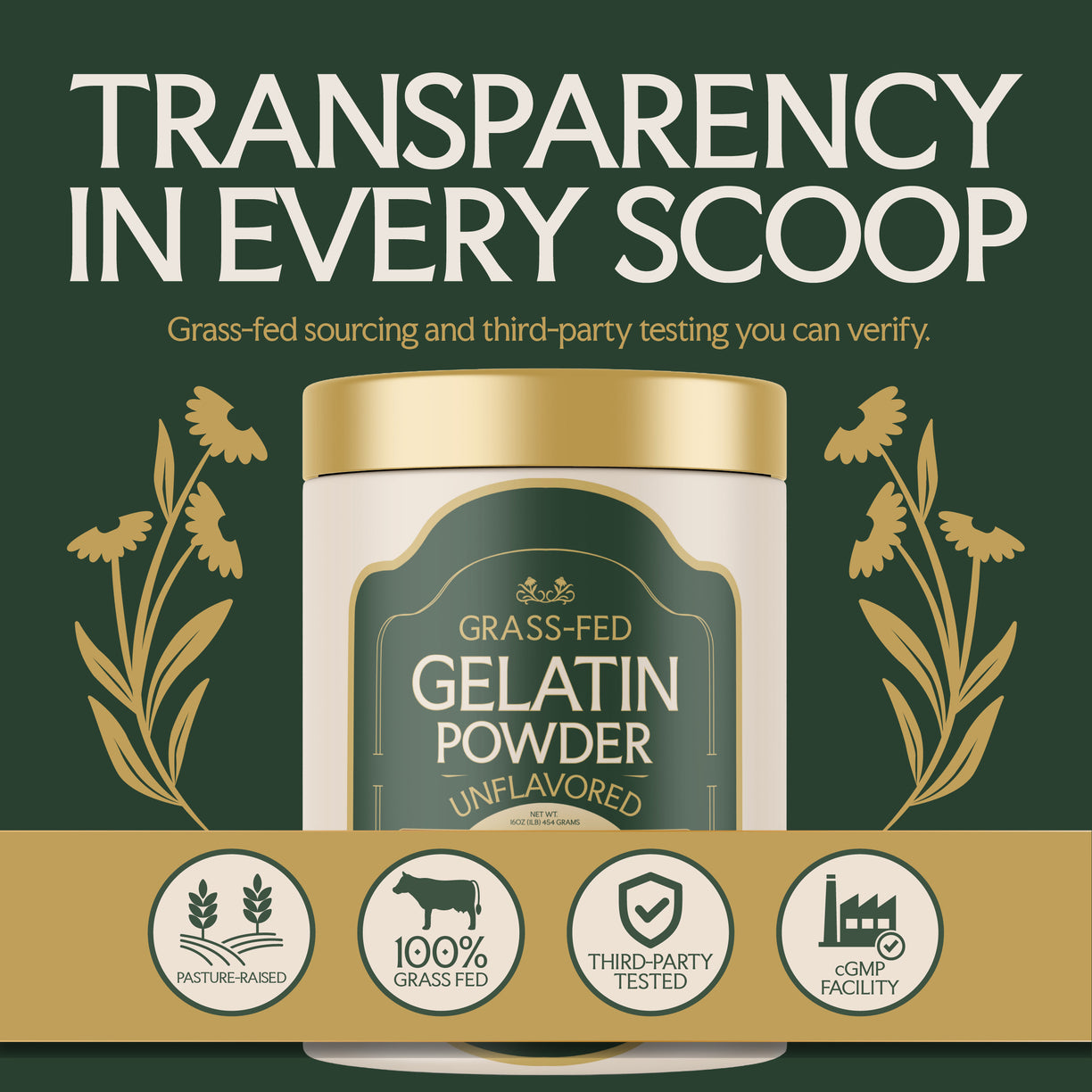 Grass Fed Gelatin Powder