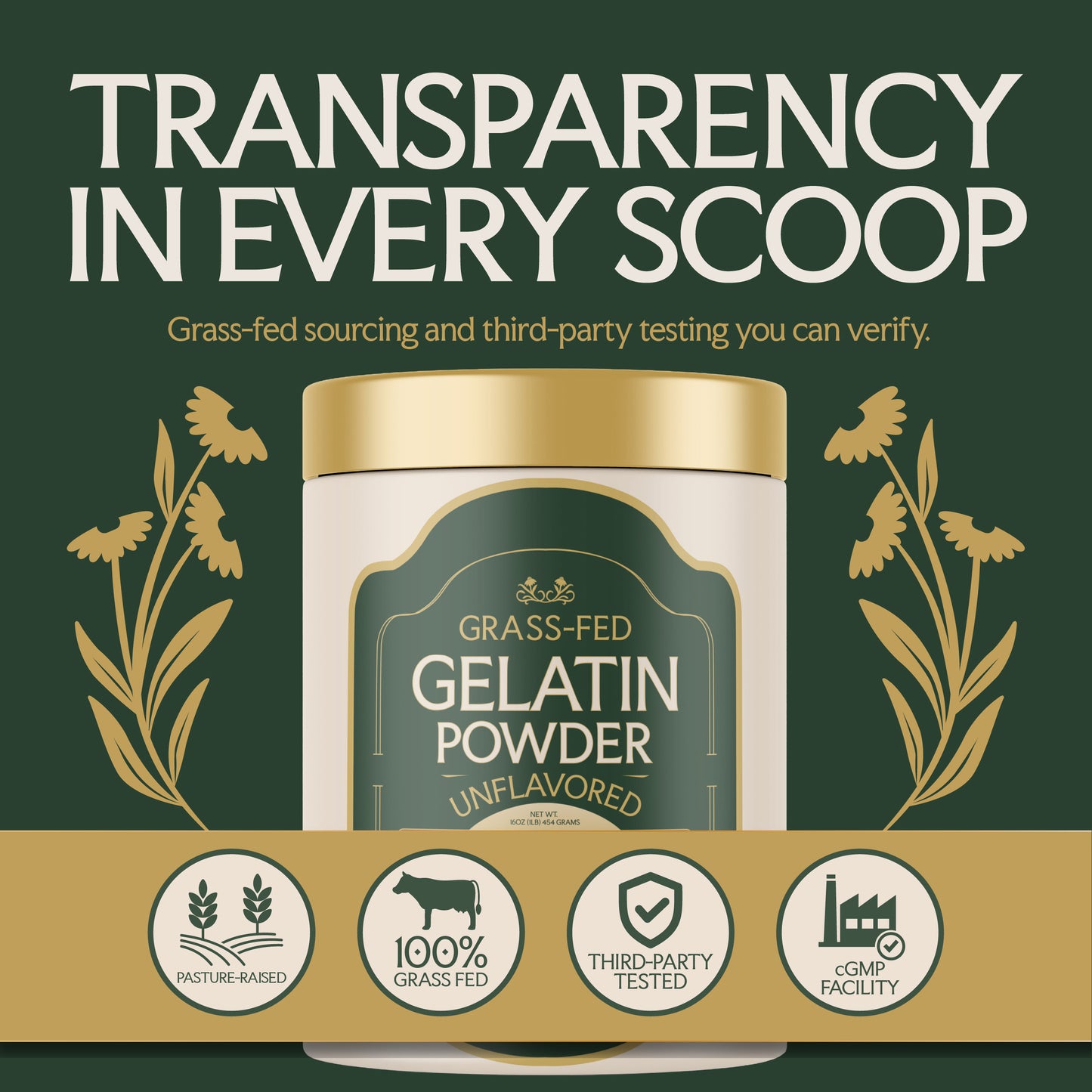 Grass Fed Gelatin Powder